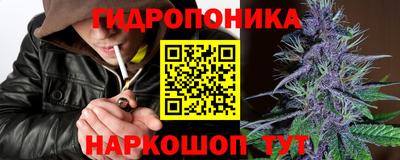 круглые Кингисепп