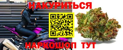 круглые Кингисепп
